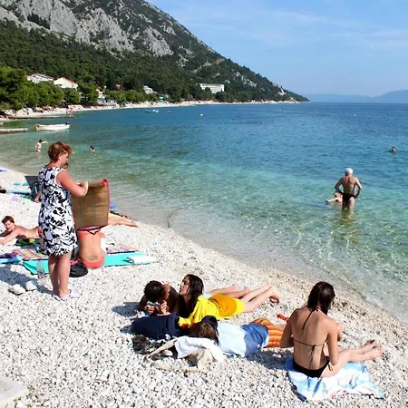 Apartment 6661a Gradac (Split-Dalmatia)
